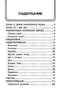 English-Russian Picture Dictionary