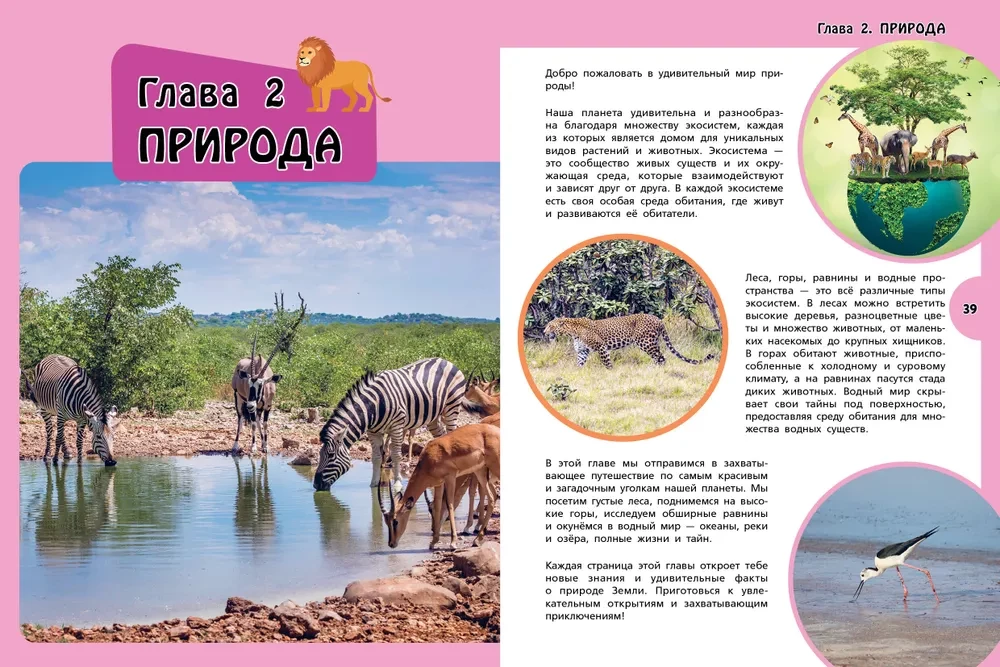Wielka księga dla dociekliwych dziewczynek