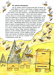 Nests, Burrows and Dens