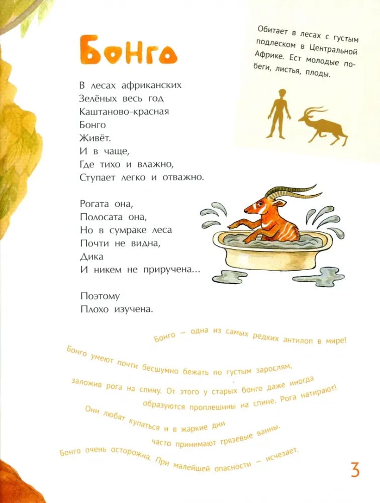 Niezwykłe zwierzęta