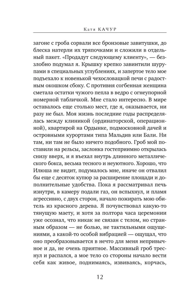 Set of 2 books by Katya Kachur: Favorite of the Era + Bitter Angel