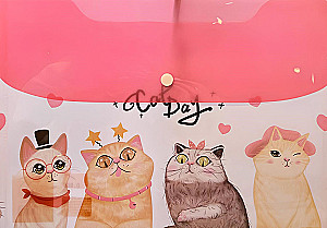 Office Folder - Kittens, plastic, with button, assorted