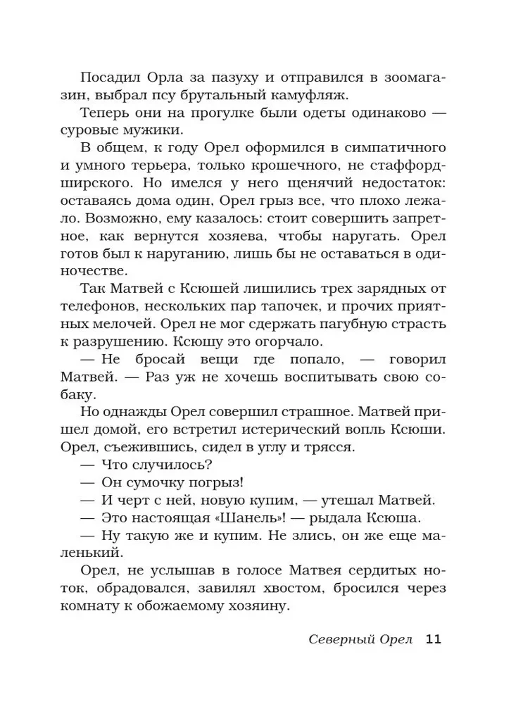 Bezprincipu lasījumi. Apelsīnu recepte sniegā