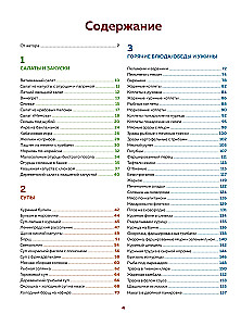 Enzyklopädie der modernen russischen Küche