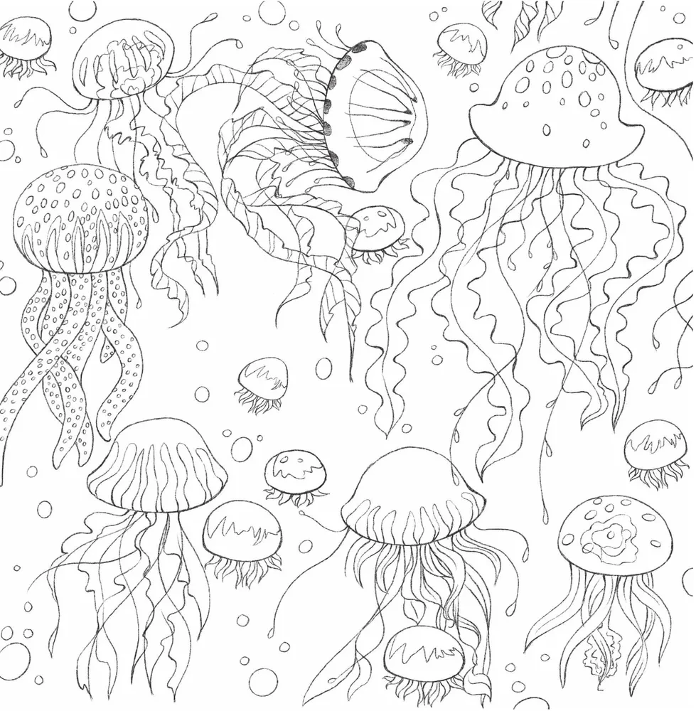 In den Armen der Natur. Malen Sie bezaubernde Illustrationen von Tieren und Vögeln aus