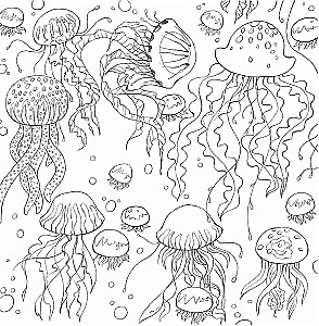 In den Armen der Natur. Malen Sie bezaubernde Illustrationen von Tieren und Vögeln aus