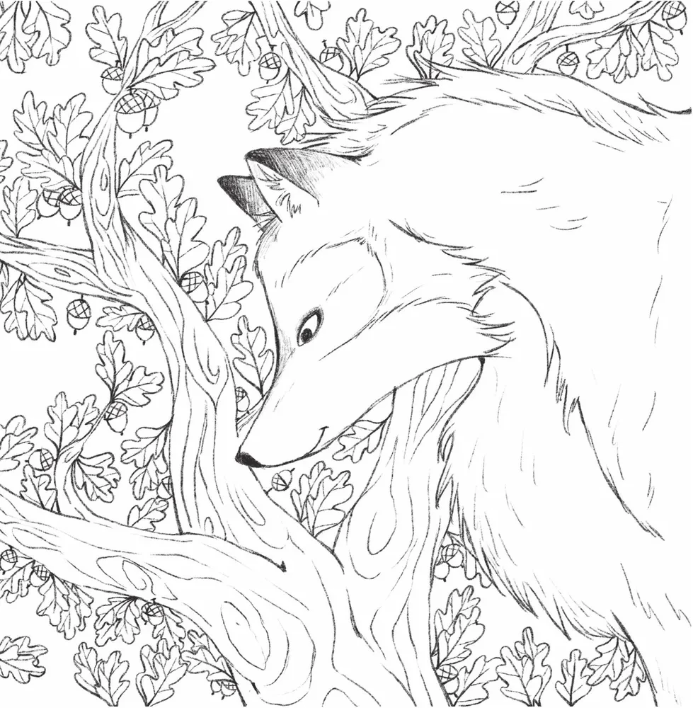 In den Armen der Natur. Malen Sie bezaubernde Illustrationen von Tieren und Vögeln aus