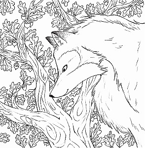 In den Armen der Natur. Malen Sie bezaubernde Illustrationen von Tieren und Vögeln aus