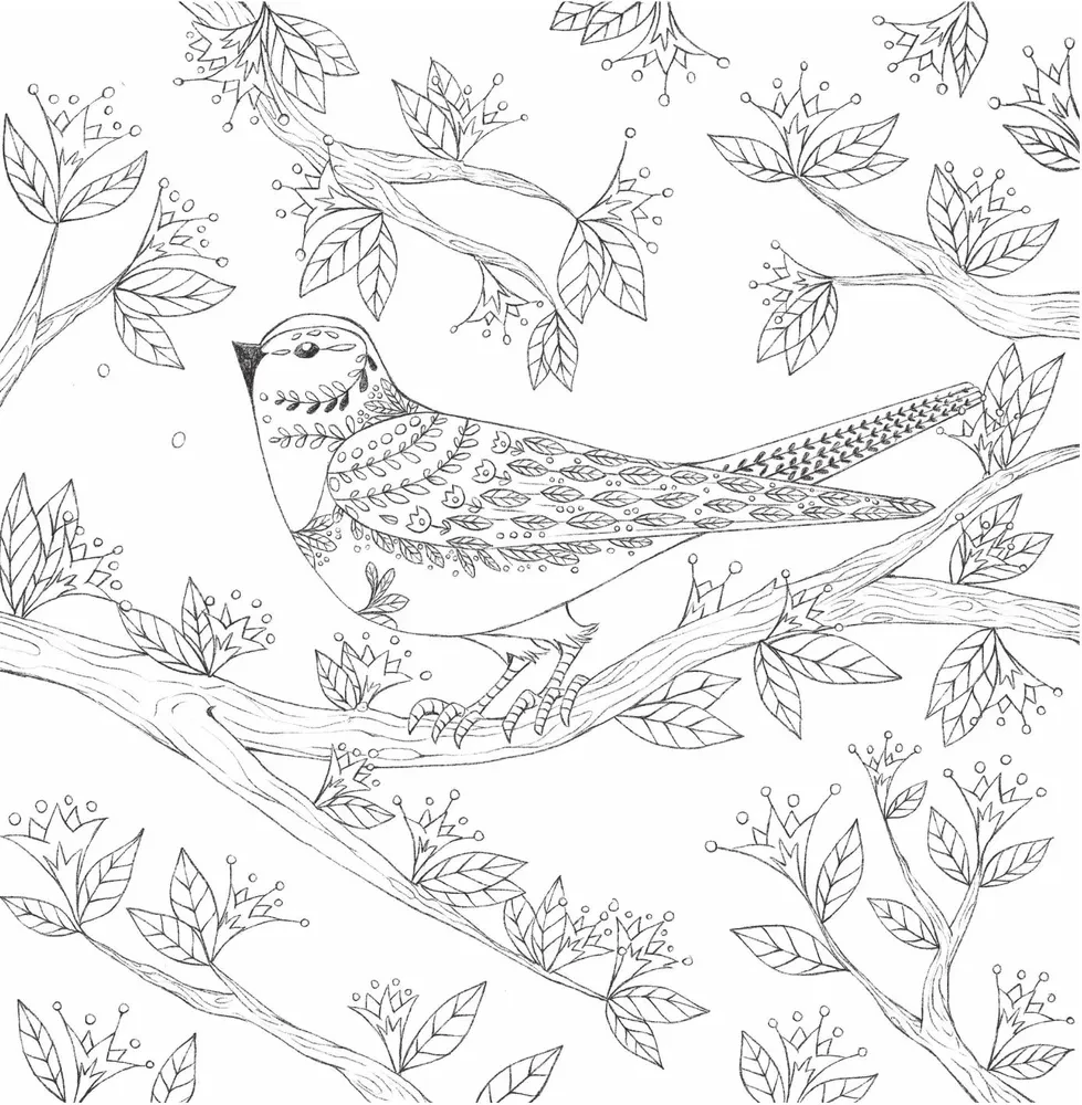 In den Armen der Natur. Malen Sie bezaubernde Illustrationen von Tieren und Vögeln aus