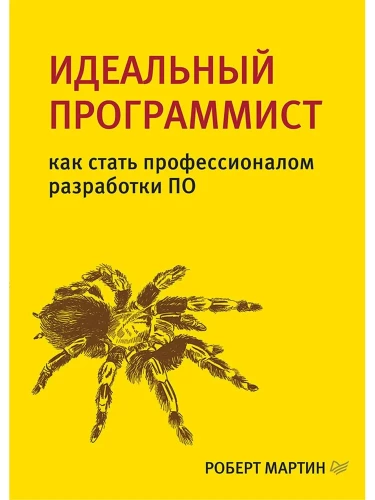 Ideali programuotojas. Kaip tapti profesionaliu programinės įrangos kūrėju