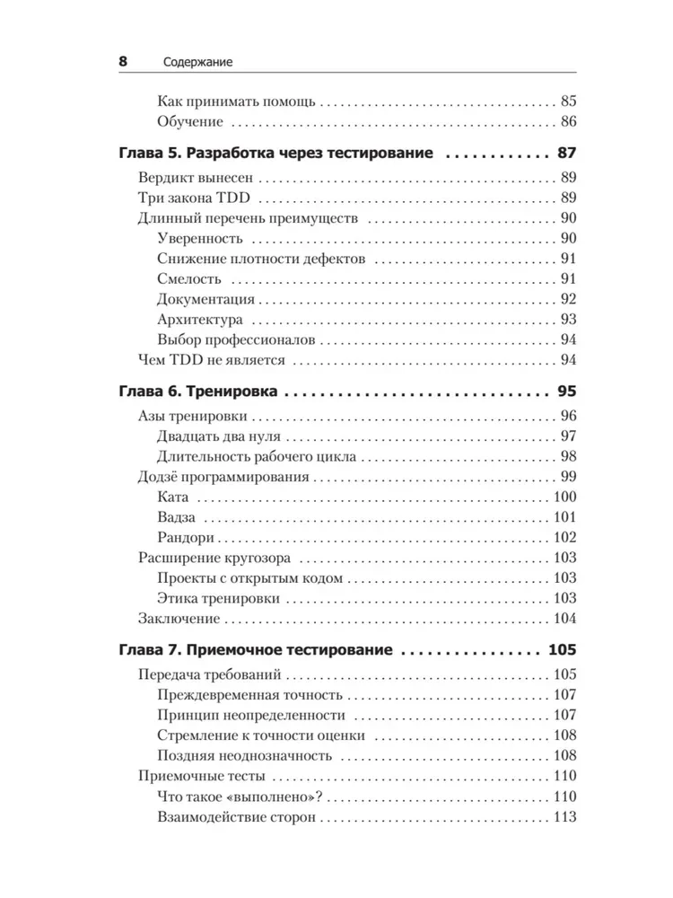 Ideali programuotojas. Kaip tapti profesionaliu programinės įrangos kūrėju