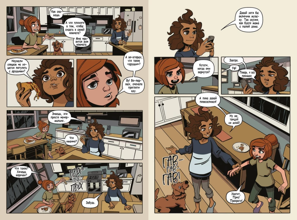 Katastrophe in Raven Brooks. Graphic Novel