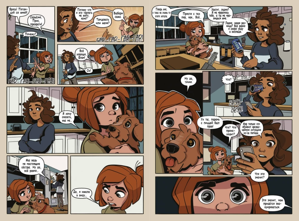 Katastrophe in Raven Brooks. Graphic Novel