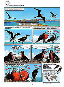 Ptaki w komiksach. Tom 2