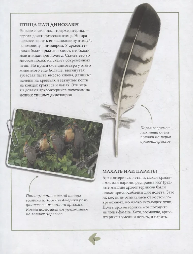 Dinozaury. Encyklopedia w komiksach. Groźni drapieżnicy