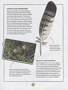 Dinozaury. Encyklopedia w komiksach. Groźni drapieżnicy
