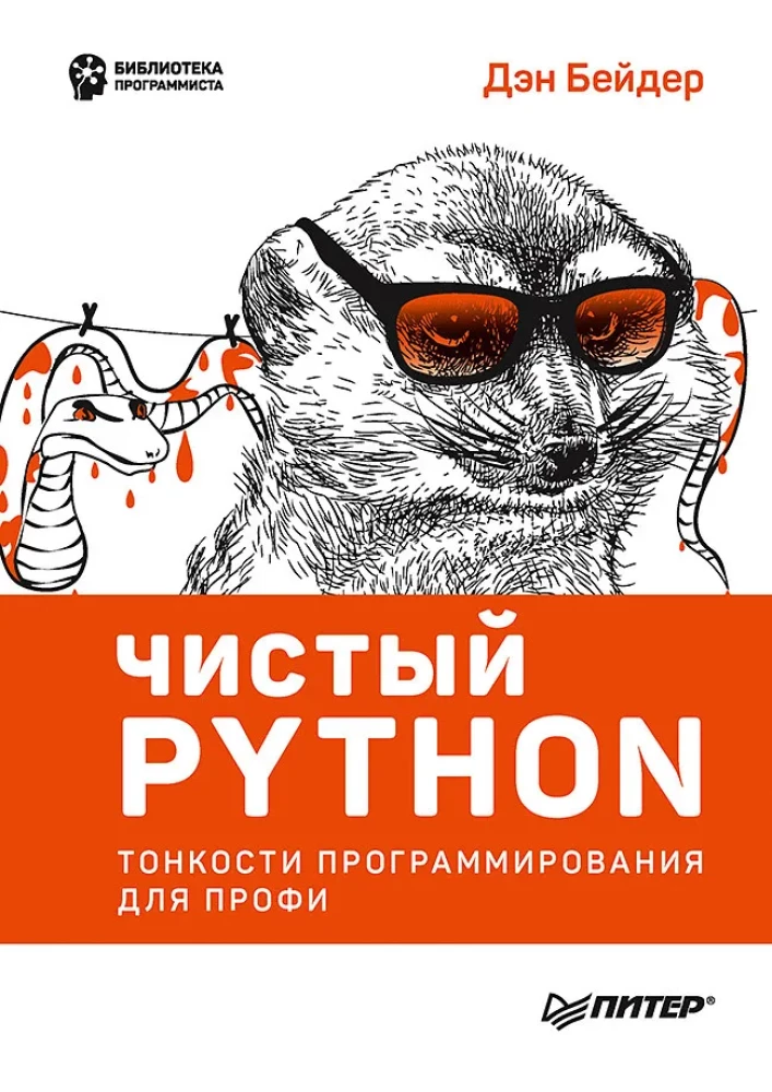 Švarus Python. Programavimo niuansai profesionalams