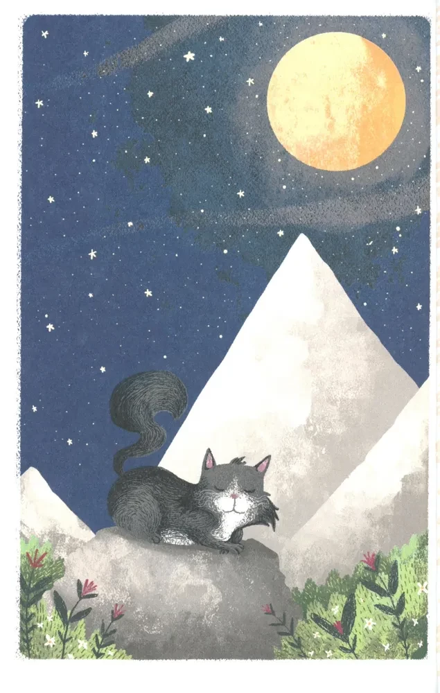 Die Katze, die den Gipfel eroberte