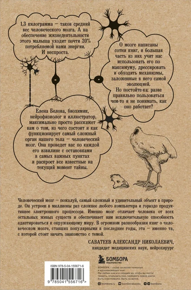 Hitchhiking Through the Brain. When the Entire Universe is in Your Head