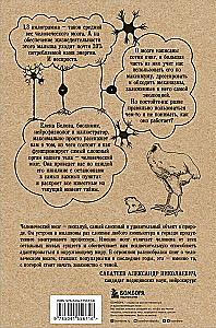 Hitchhiking Through the Brain. When the Entire Universe is in Your Head
