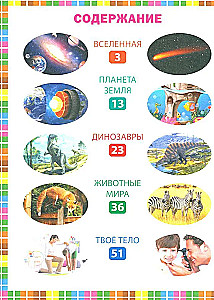 Geriausia mažo kodėlčiko knyga. Kas? Kada? Kodėl?
