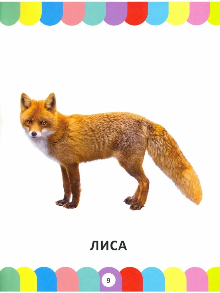 Wielka encyklopedia dla maluchów od 1 do 3 lat. Książka fotograficzna