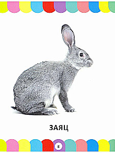 Wielka encyklopedia dla maluchów od 1 do 3 lat. Książka fotograficzna