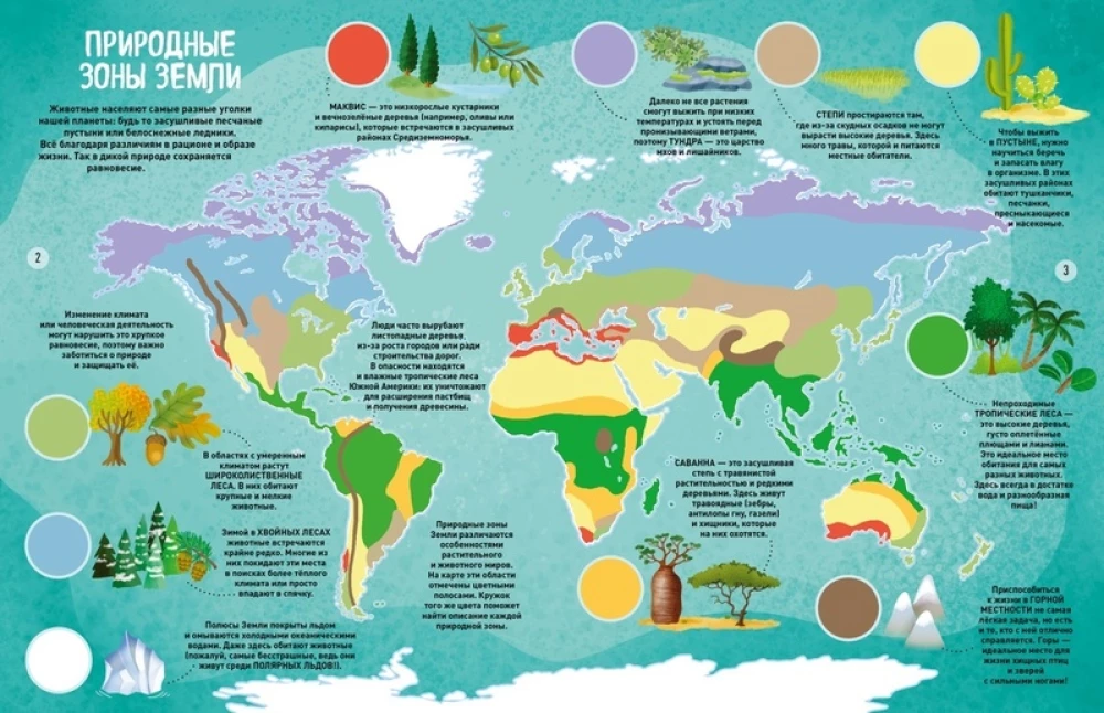 Die Welt der Tiere in Bildern