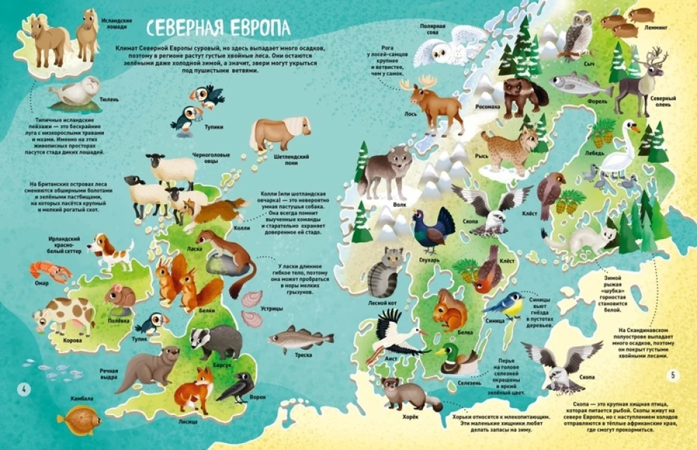 Die Welt der Tiere in Bildern