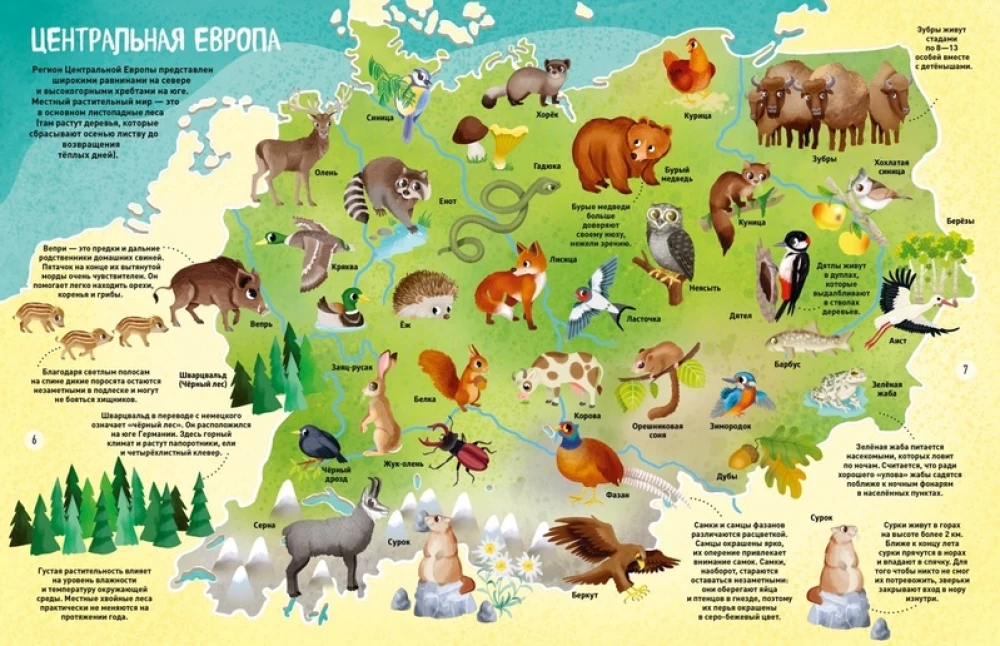 Die Welt der Tiere in Bildern