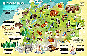 Die Welt der Tiere in Bildern