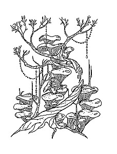 Aja alkeemia. Värvimine-meditatsioon