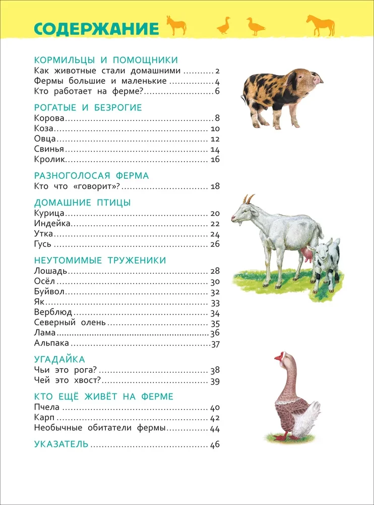 Zwierzęta domowe