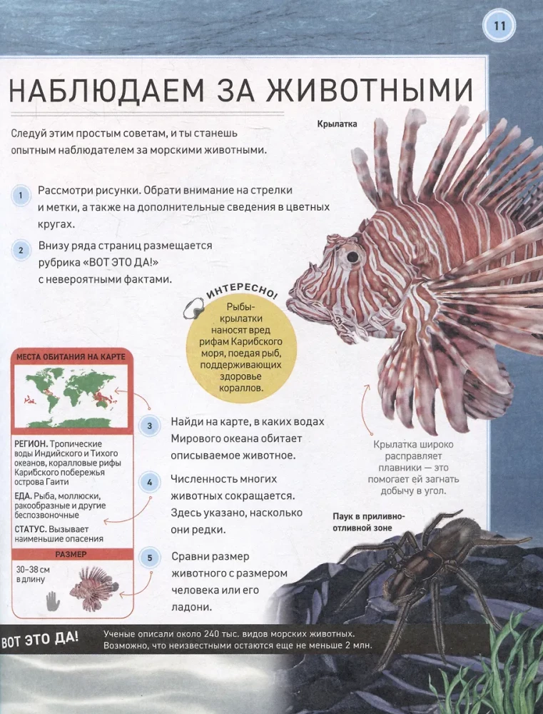 Podwodny świat. Pełna encyklopedia
