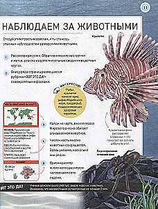 Podwodny świat. Pełna encyklopedia