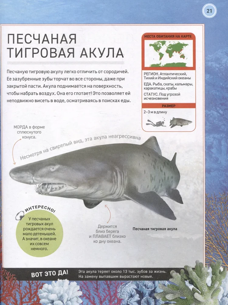 Podwodny świat. Pełna encyklopedia