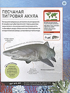 Podwodny świat. Pełna encyklopedia