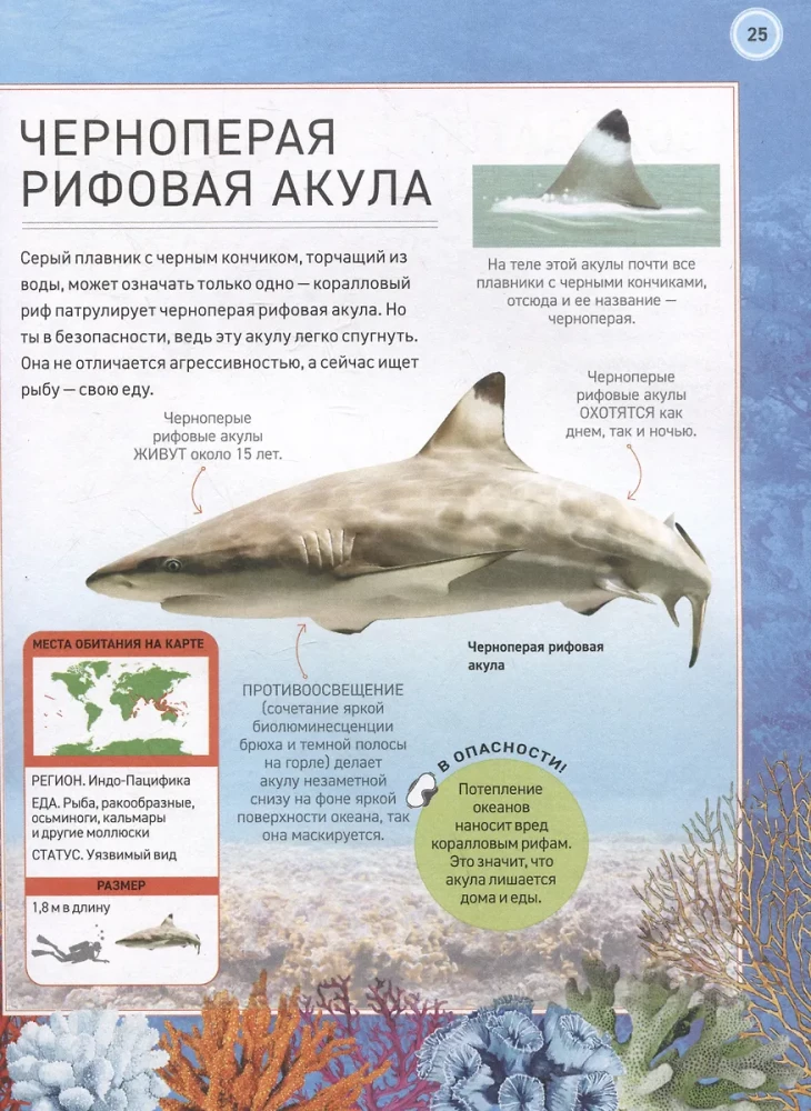 Podwodny świat. Pełna encyklopedia