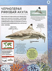 Podwodny świat. Pełna encyklopedia