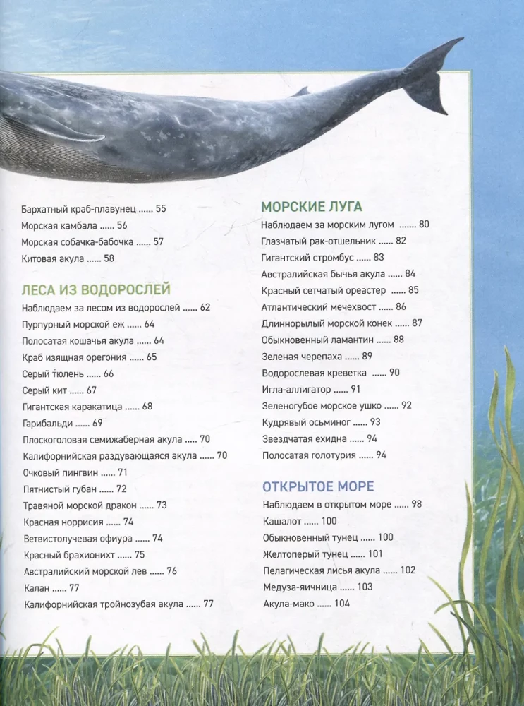 Podwodny świat. Pełna encyklopedia