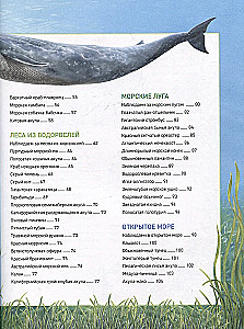 Podwodny świat. Pełna encyklopedia
