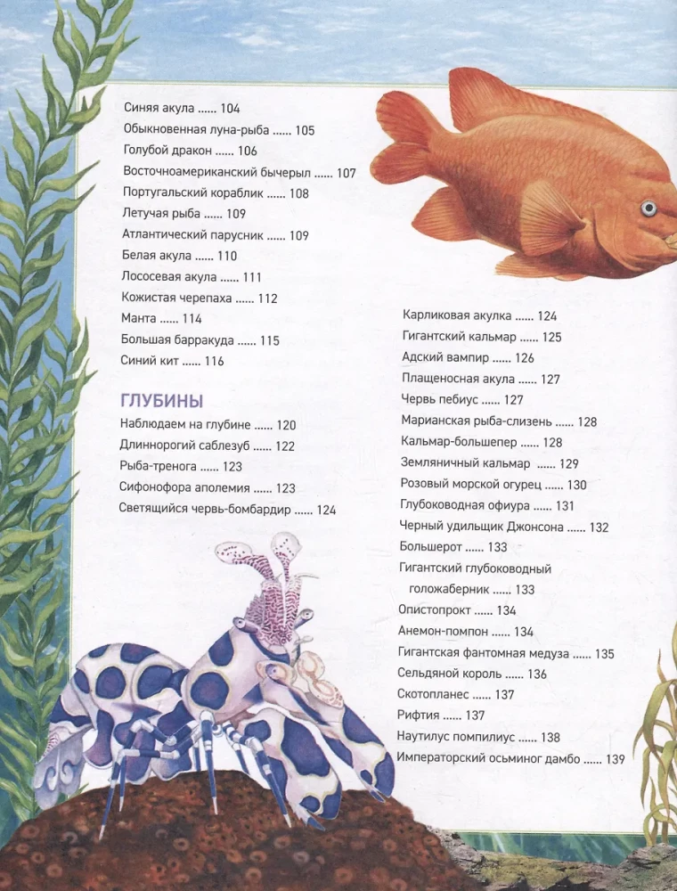 Podwodny świat. Pełna encyklopedia