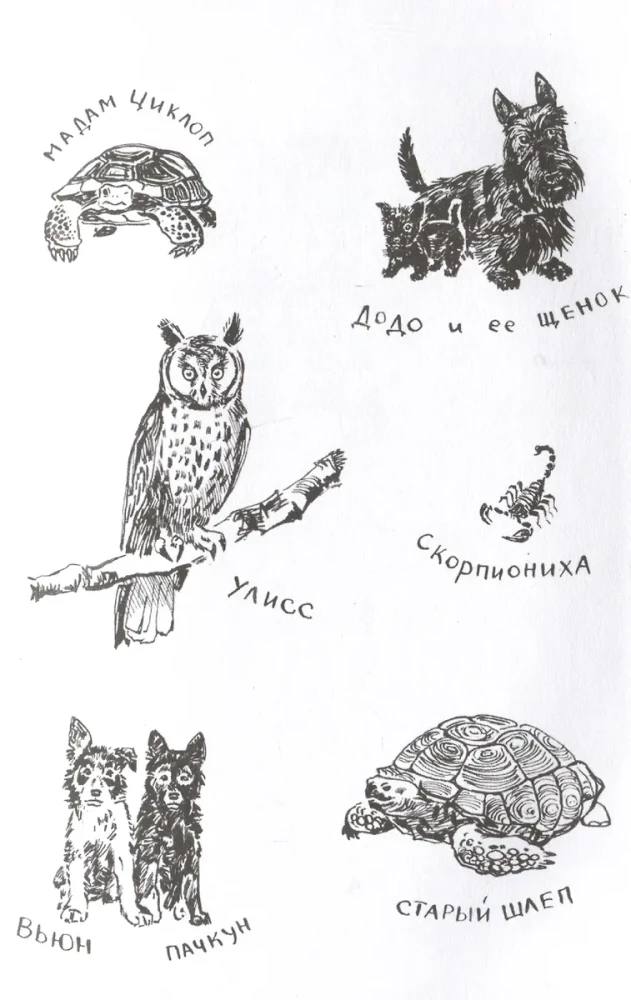 Mano šeima ir kiti žvėrys