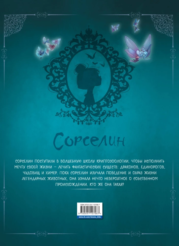 Sorselin. Książka 1: Zostanę fantastykiem!