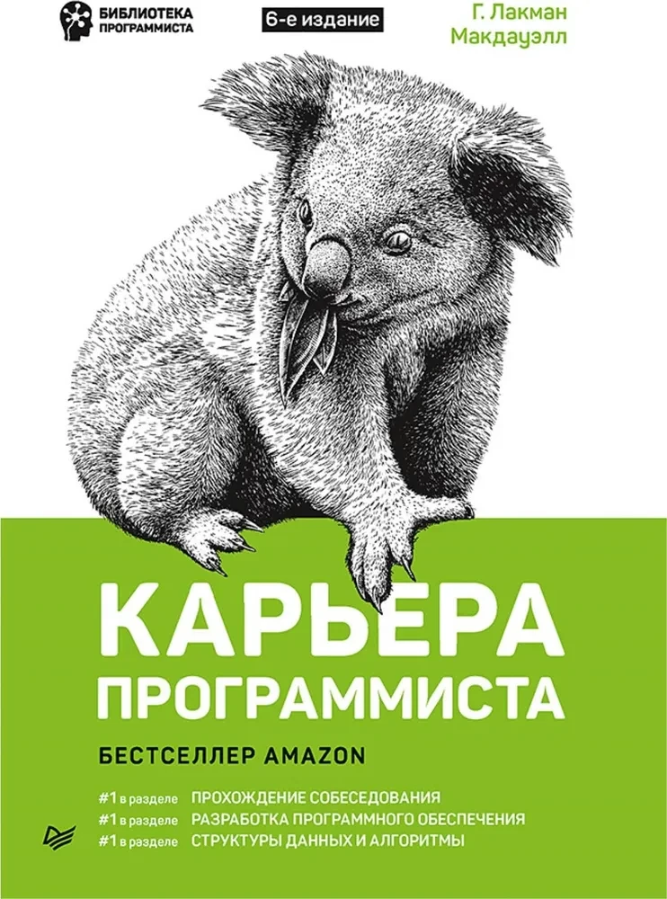 Karriere eines Programmierers