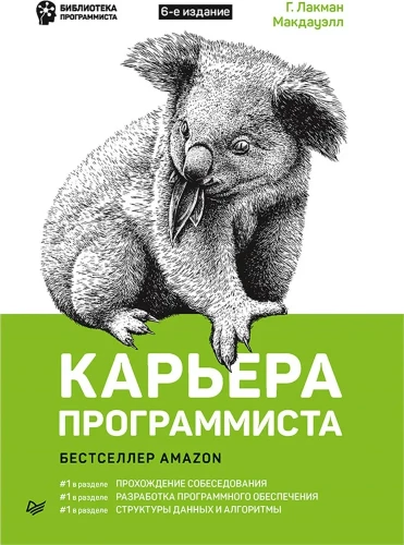 Karriere eines Programmierers