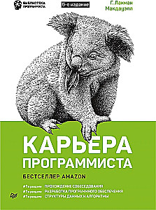 Karriere eines Programmierers