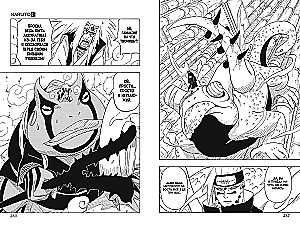 Naruto. Naruto. Buch 14. Das größte Werk