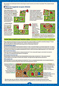 Настольная игра - Каркассон (Carcassonne). Big Box
