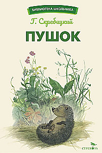 Puschok